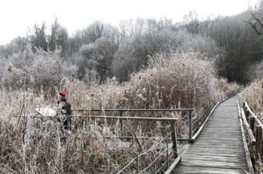chemin suspendu en platelage bois suspendu au dessus du marais en hiver avec roseaux et givre