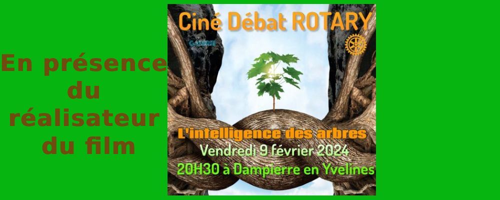 Ciné-débat : L'intelligence des arbres